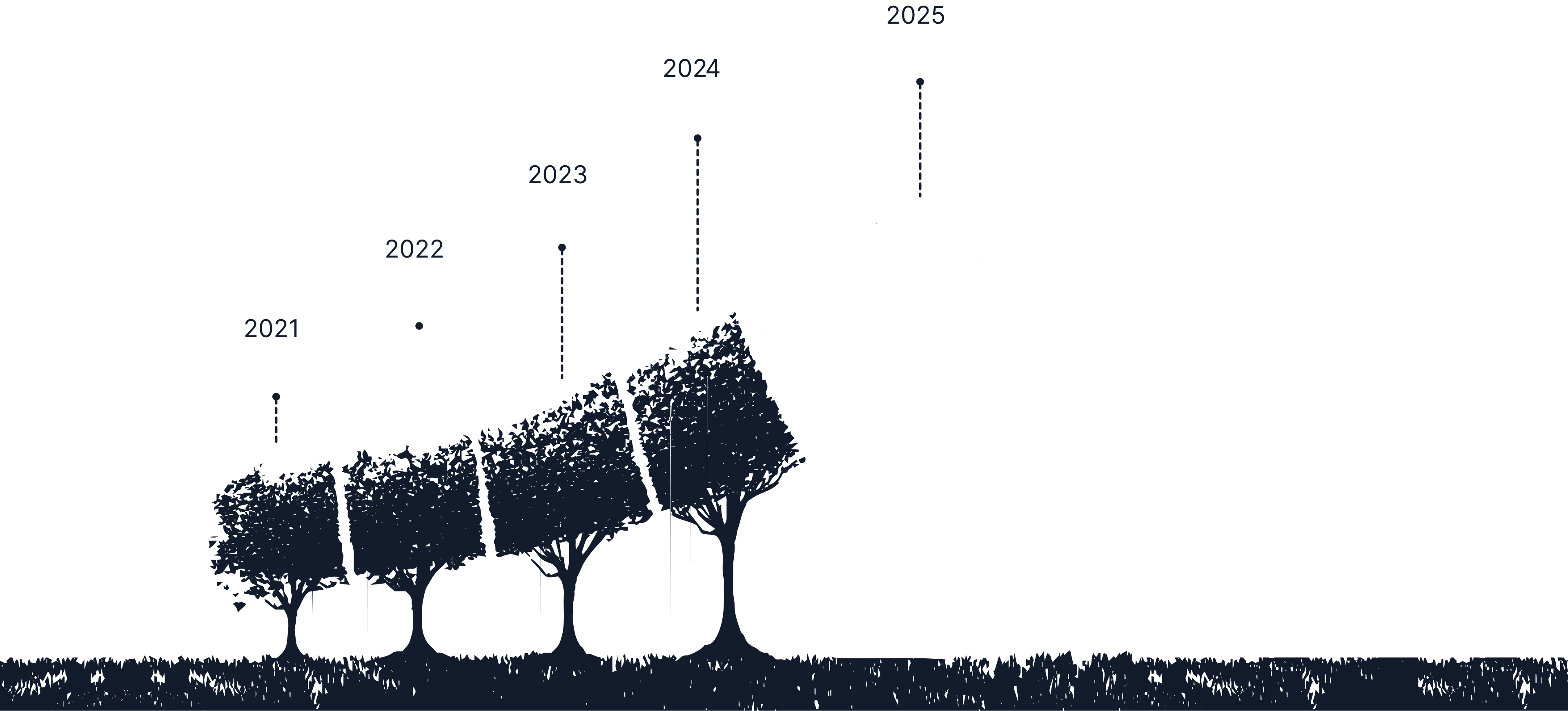 Sustainability growth from 8 trees in 2021 to 500 trees in 2025